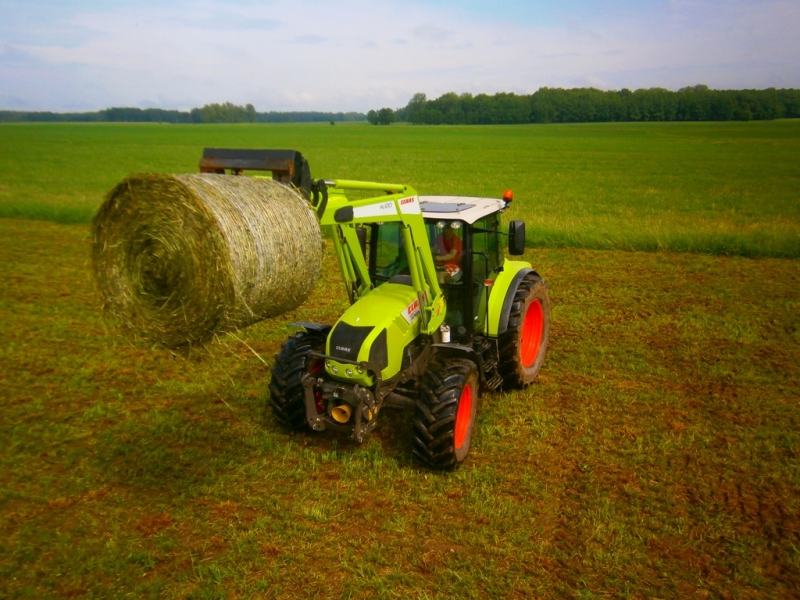 Claas Arion