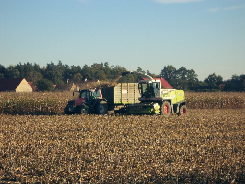 Valtra 8150 + Claas jaguar 870