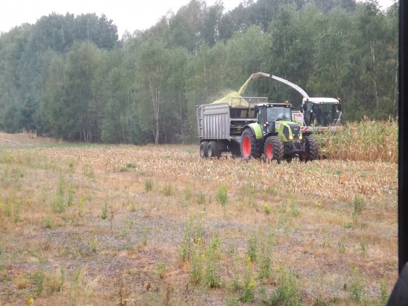 Claas Axion 810 + Fliegl ASW 160 Claas Jaguar 830