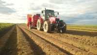 Massey + grimme