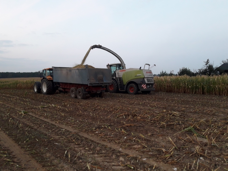 Claas Jaguar 950 i Renault + tandem