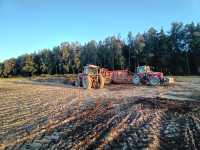 Massey 3085 & 6480 & Marshall Vantage