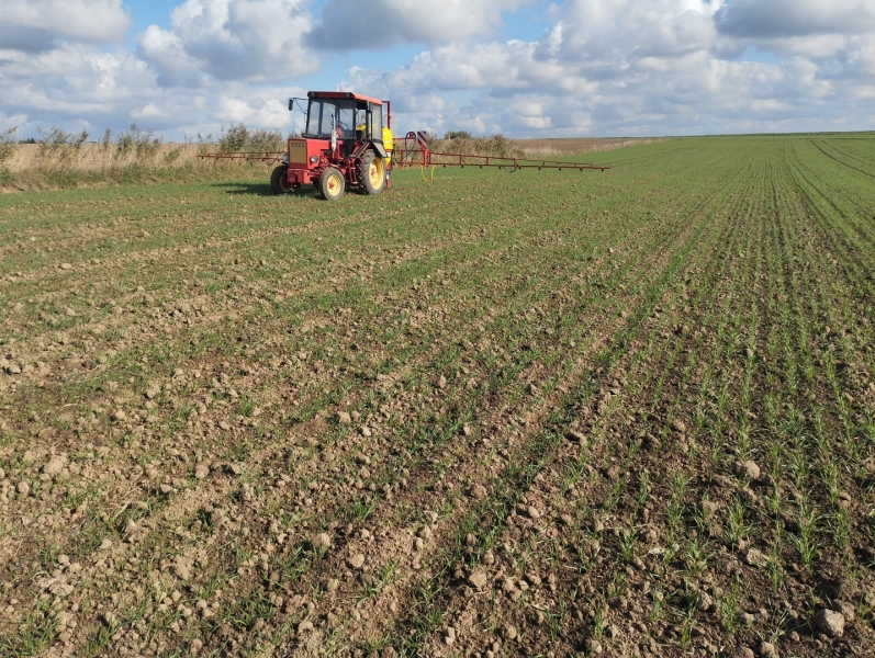 Władymirec T25A2 i Tad Len TL412