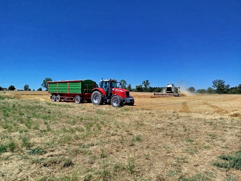 Massey Ferguson Claas