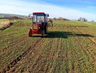 Władymirec T25 i Tadlen TL412