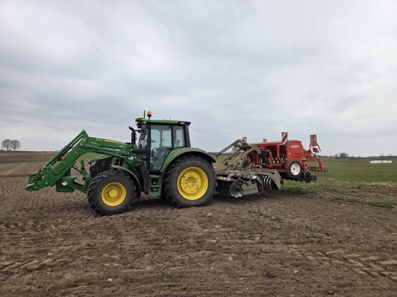 6M 125 & rolex & gaspardo