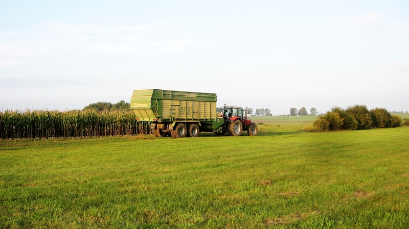 Massey Ferguson 5465 + Krone MX350GD