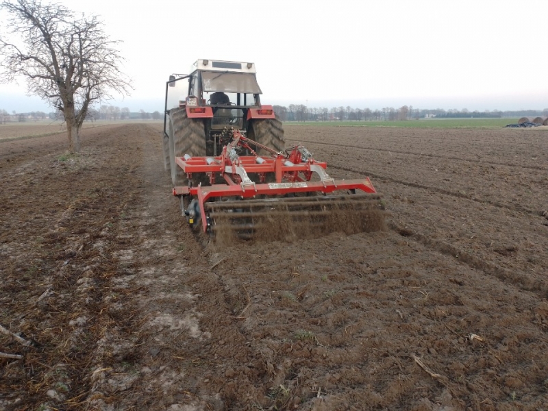 Grano Potenza