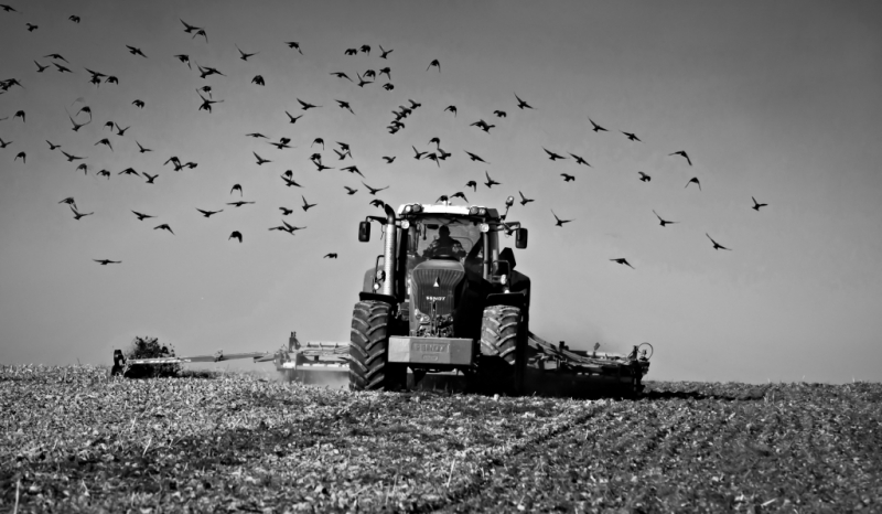 Fendt 936 Vario