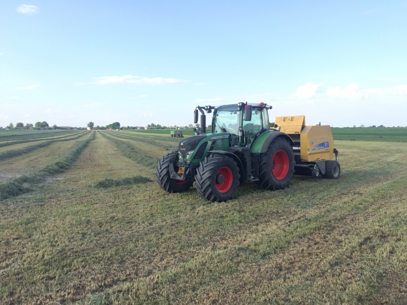 Fendt & Ciuholand