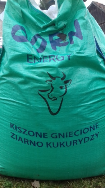 CORN ENERGY Kiszone Gniecione Ziarno Kukurydzy