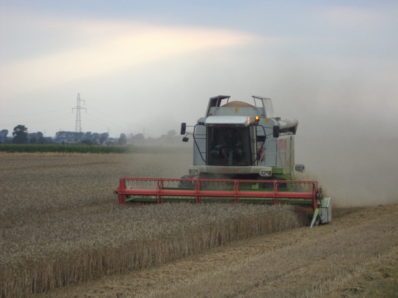 Claas Lexion 450