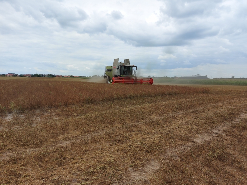 Claas Lexion 5300