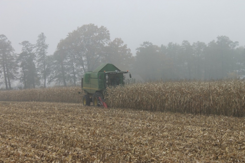 John Deere W540 + przystawka Geringhoff