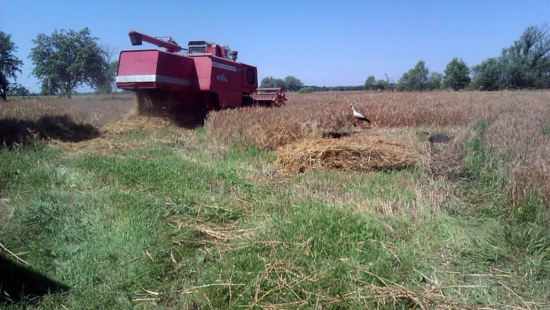 Massey Ferguson 530L