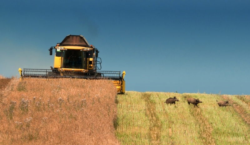 New Holland CX8070