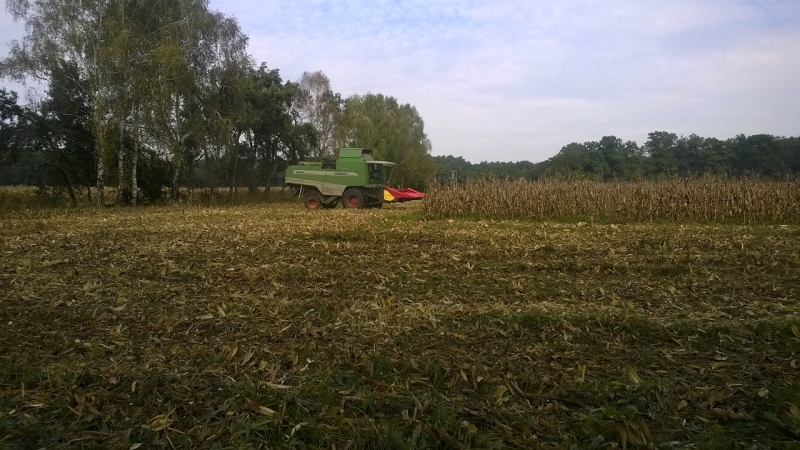 fendt 6300C + Capello R6