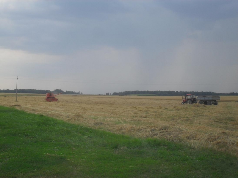 Bizon Z056 Super & Zetor 5320 + Autosan