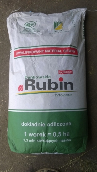 Dańkowskie Rubin