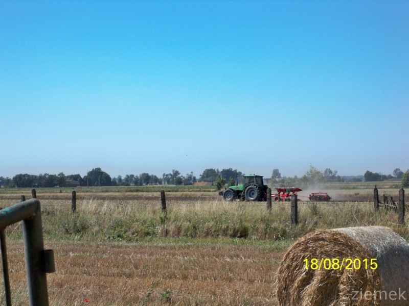 Deutz-Fahr Agrosun 140 & Ibis i Expom.