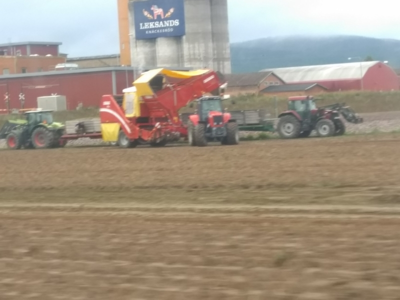 Massey Ferguson + Grimme