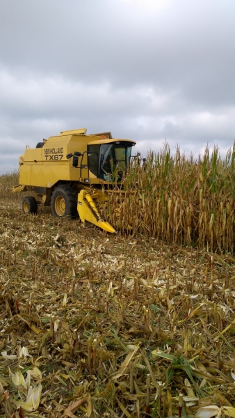 New Holland TX 67