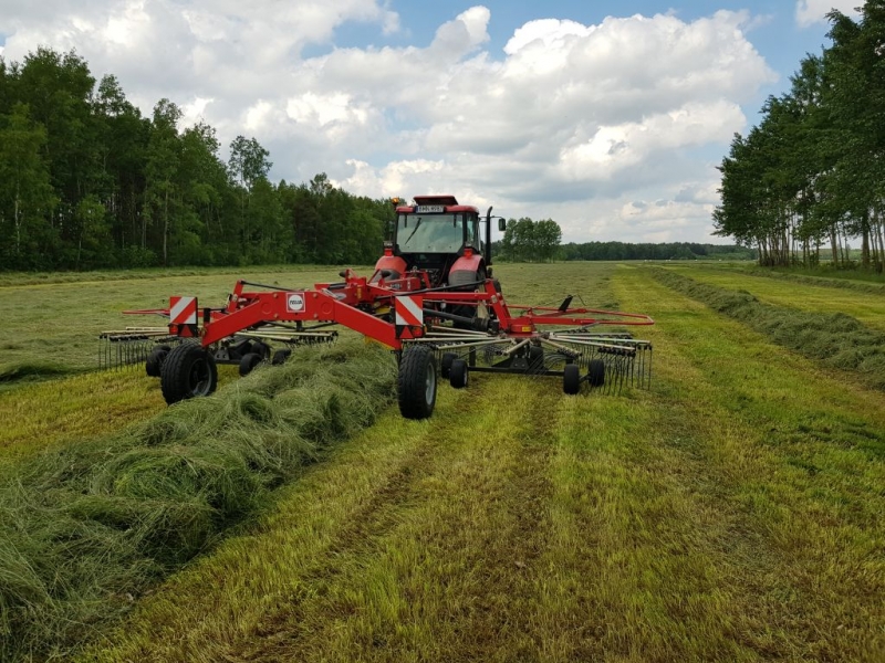 Zetor Proxima & Fella TS 801