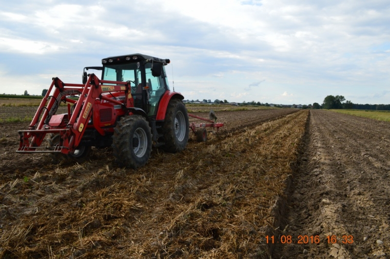 Massey Ferguson 5435 & Unia Tur 120