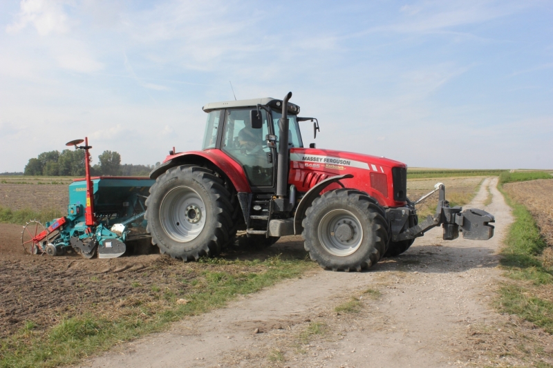 Massey Ferguson 6485 i Sulkacz