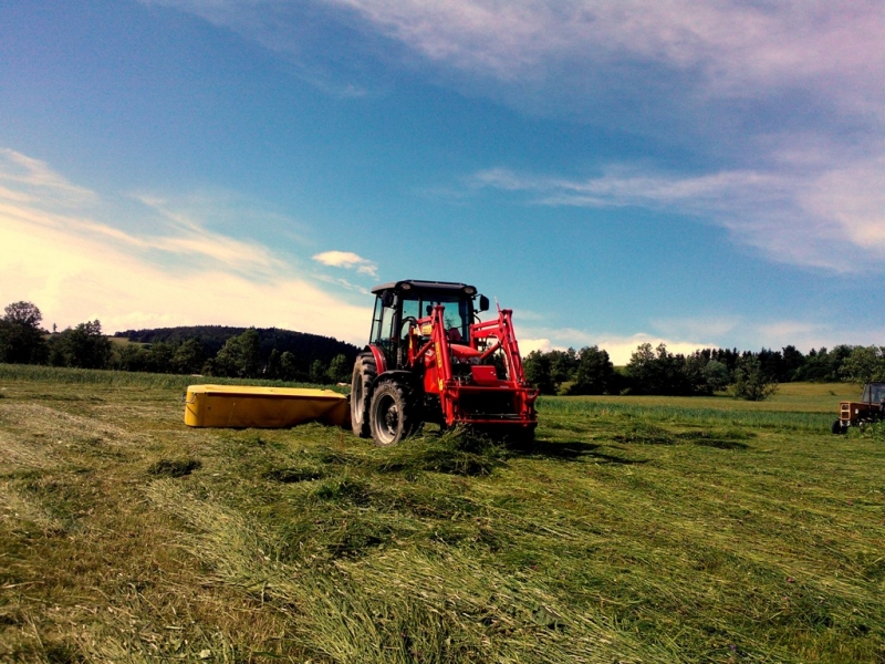 Massey Ferguson 3635 vs Fella SM 2460 ISL