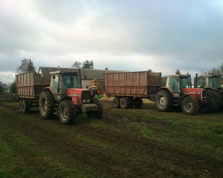 Massey Ferguson x3