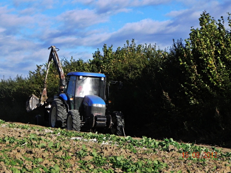 New Holland TD60D