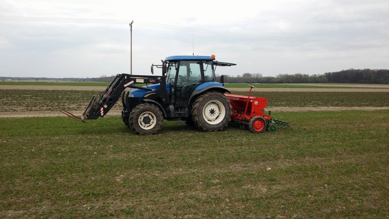 New Holland TD5020 & Poznaniak