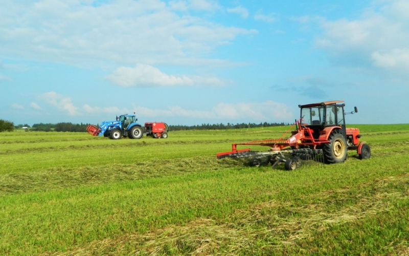 New Holland T5.105 DC / Feraboli Entry-120 / Ursus C-360 / JF Stoll 420 DS