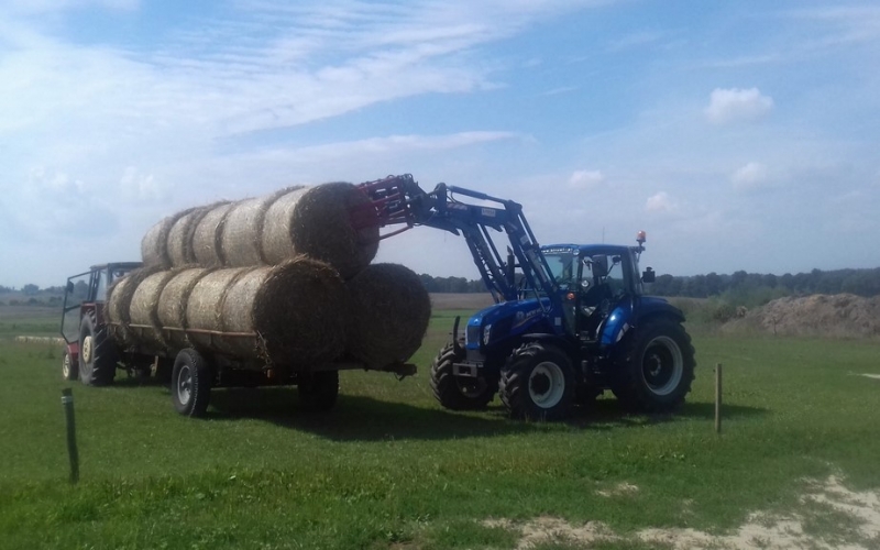 New Holland T5.105