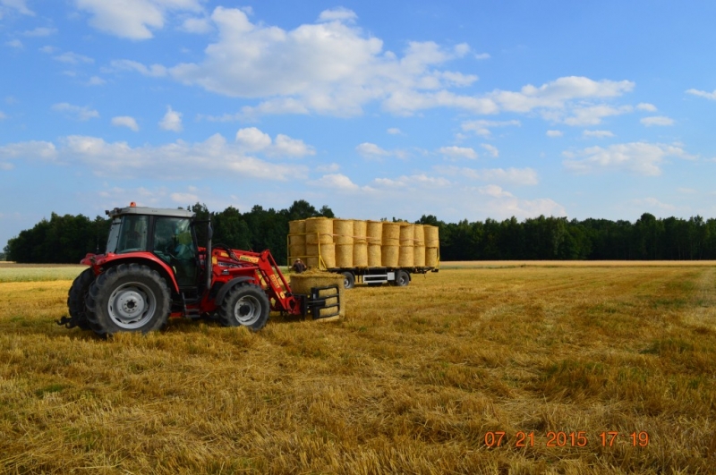 Massey Ferguson & Przyczepa