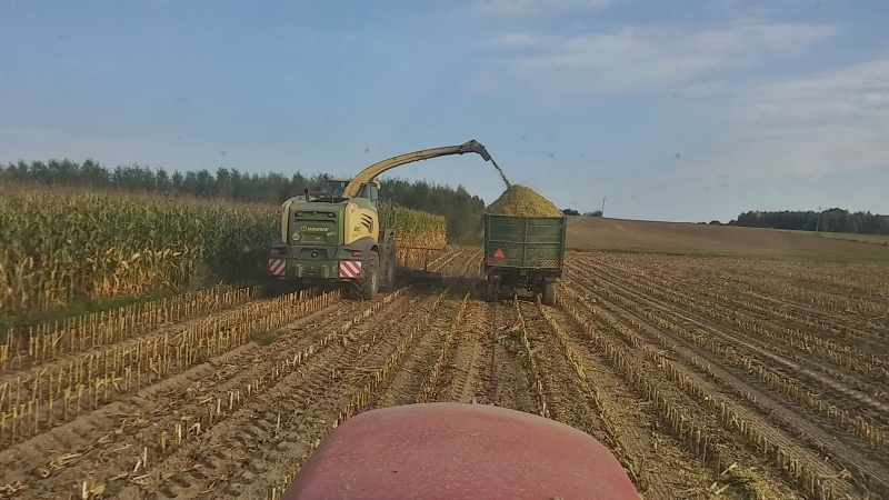 Krone BIG X 480