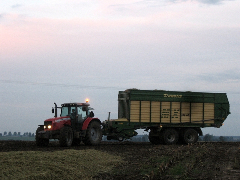 MF 5465 + Krone MX350GD