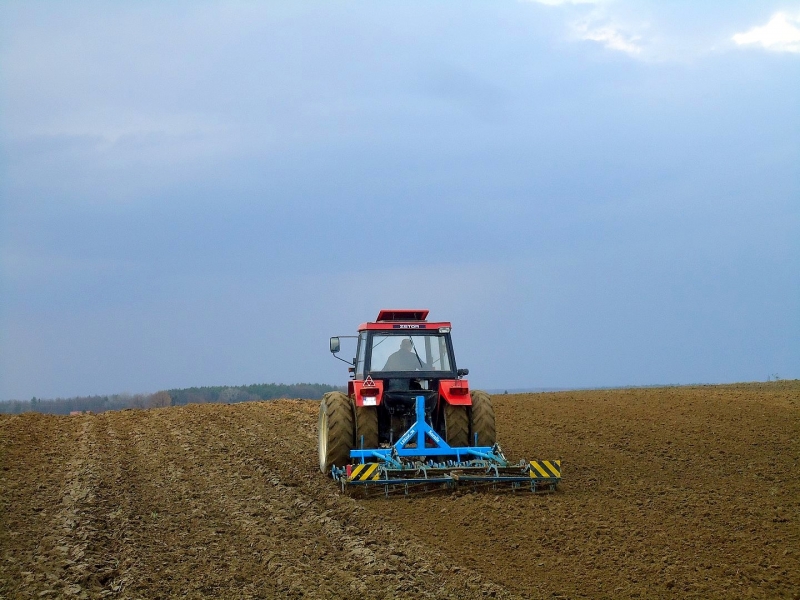 Lemken Koralle