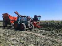 Fendt Favorit 310