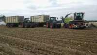 Fendt, Claas