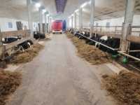 Młodzież Młodzież