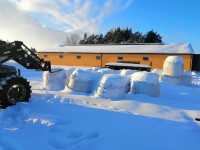 Bukaciarnia Bukaciarnia