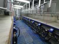 SAC 2x8 (60) SAC 2x8 (60)