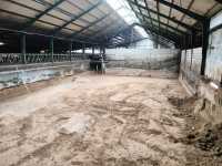 Głęboką ściółką Głęboką ściółką