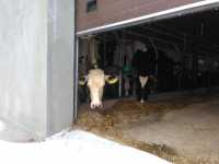 Pierwiastka Pierwiastka