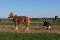 Muzeum Wsi Mazowieckiej w Sierpcu Muzeum Wsi Mazowieckiej w Sierpcu