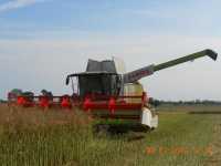 Claas Lexion 650