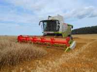 Claas Lexion 650