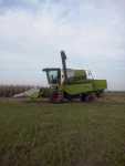 Claas Avero 160